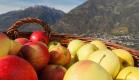 Südtiroler Äpfel