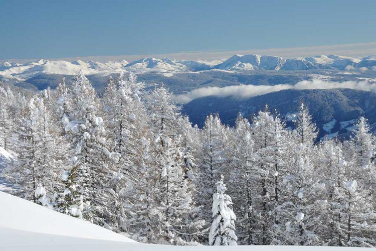 Schneeschuhwanderungen in den Bergen